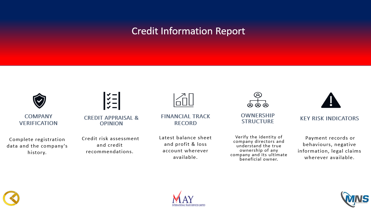 Credit Information Report